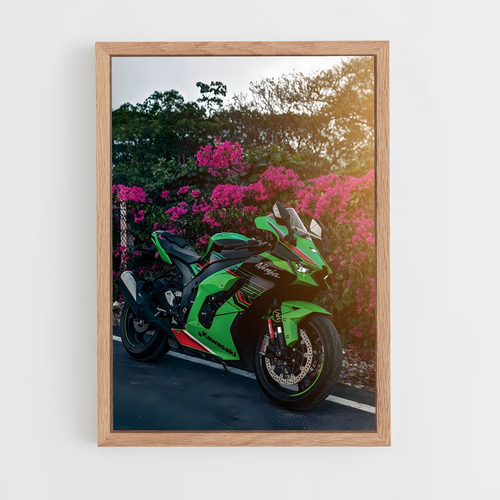 Poster Vitesse Verdoit (vue 4)